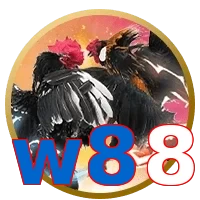 w88